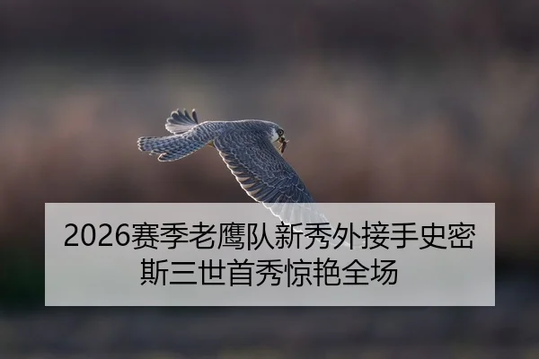 2026赛季老鹰队新秀外接手史密斯三世首秀惊艳全场