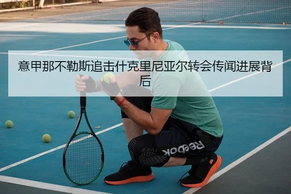 意甲那不勒斯追击什克里尼亚尔转会传闻进展背后